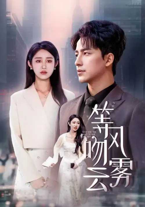 草莓影视《长夜回声》电视剧在线观看